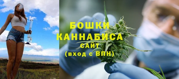 метадон Вяземский