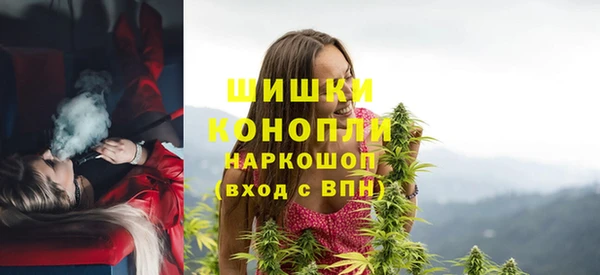 индика Фурманов
