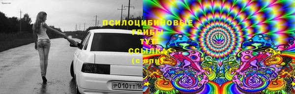 метадон Вяземский